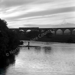 Fishing, River Wharfe, Arthington